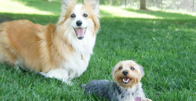 Outside and Inside Playtime